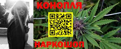 стафф Абакан